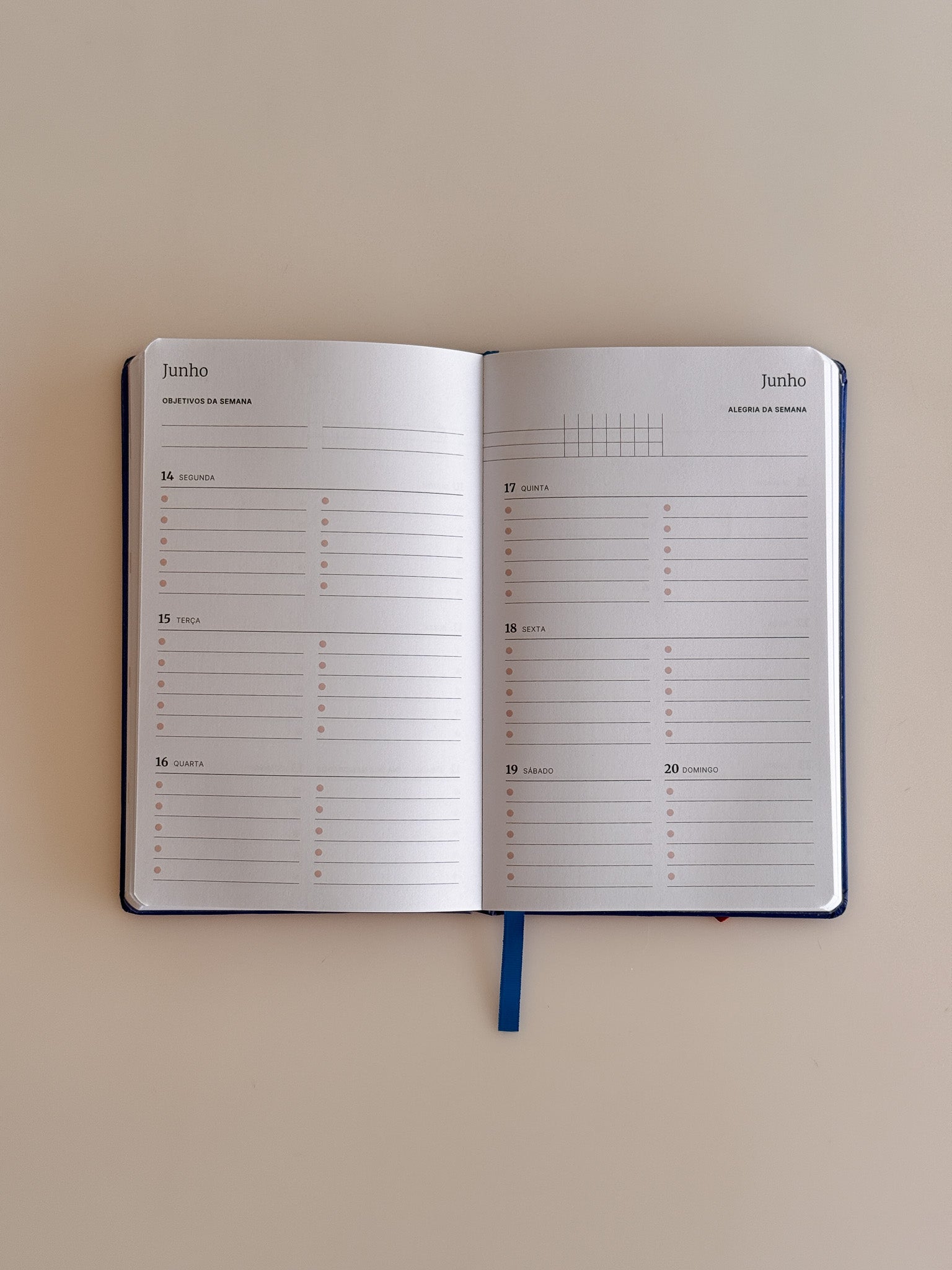 Mini Planner 2027 Patti