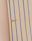 Mini Planner 2027 Giz Azul
